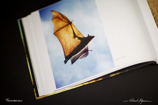  “No Words 1X5” from 1x.com