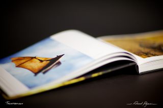  “No Words 1X5” from 1x.com