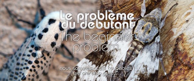 The beginner's problem: we are also guilty…