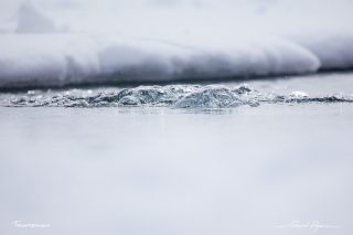  Under ice diving at Tignes