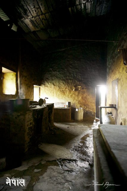  Chandanbari Cheese Seller