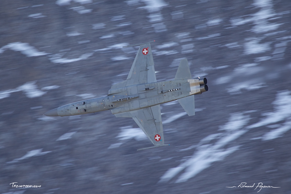 RAW &bull; Northrop F-5E Tiger II