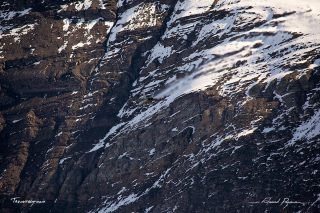 McDonnell Douglas - Boeing F/A-18D Hornet