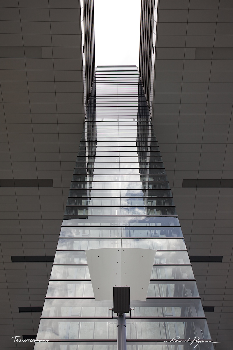 The Rheinauhafen - Kranhaus “Pandion Vista